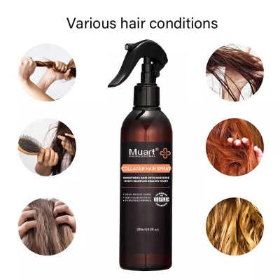 Argan Oil Heat Protectant Spray | Hair Spray Invisible finishing holding spray