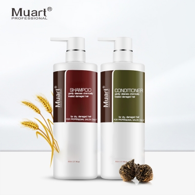 Shampoo and Conditioner-OEM Moisturizing and Hydrating Sulfate Free Organic Argan Oil Hair Extension